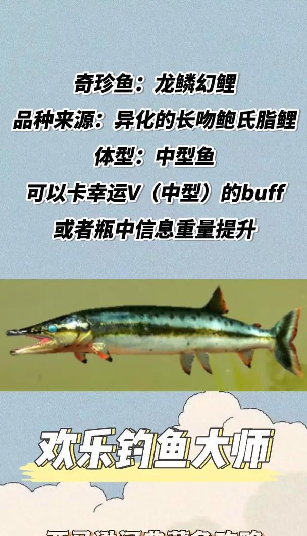 解密科里亚的木匣游戏攻略（探秘科里亚的谜题，一步步揭开奥秘）