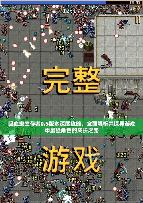 《幸存者闯关游戏攻略大全》（玩转游戏，成为最后的幸存者！）