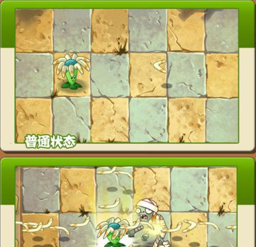 从零开始的绿叶植物攻略（在家打造自己的绿色天地，让植物为生活增添活力）