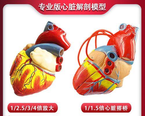 搭桥建模游戏攻略（游戏攻略指南，助你轻松学会搭建稳固的桥梁）