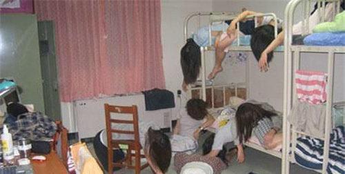 女生宿舍游戏攻略（寝室游戏攻略分享，让你的大学生活更有趣）