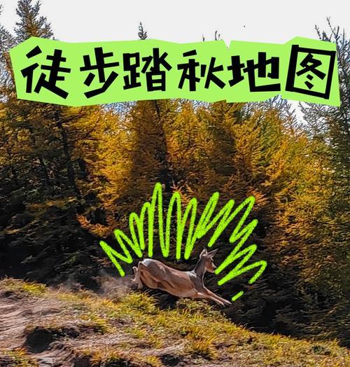 探秘麻田岭露营游戏攻略（让你轻松玩转麻田岭露营，享受户外生活乐趣）